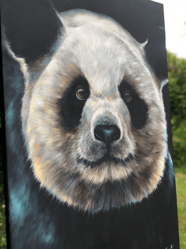 Giant Panda