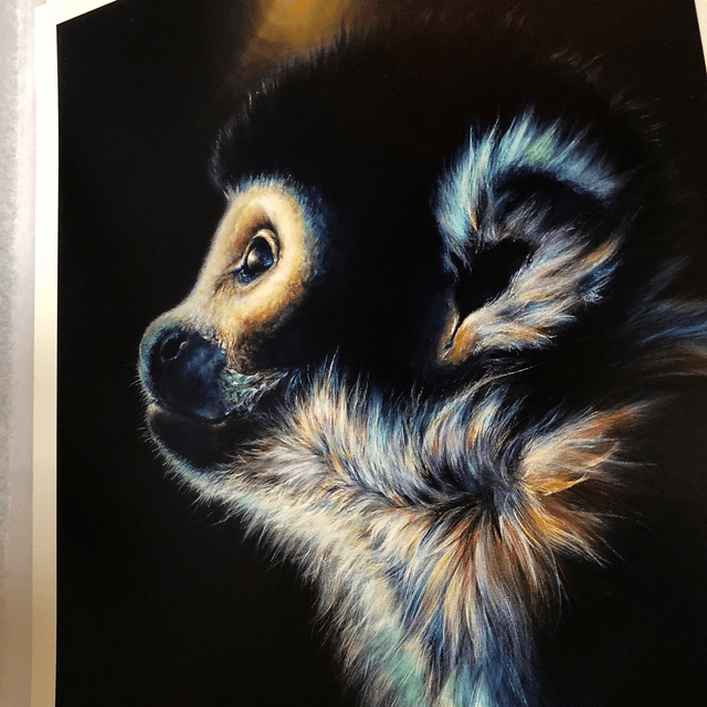 Tirage d’art Saimiri 30x40