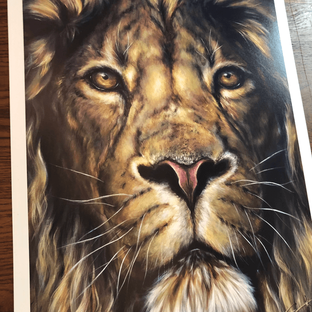 Tirage d’art Lion « horizon »