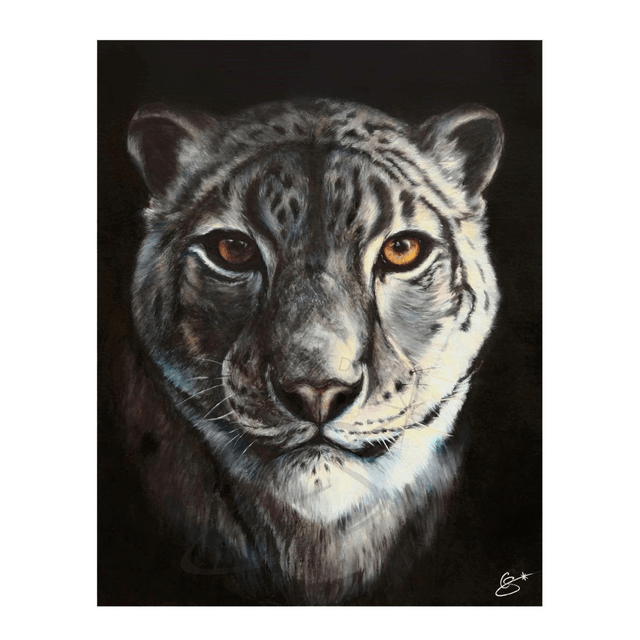 Panthère des Neiges
