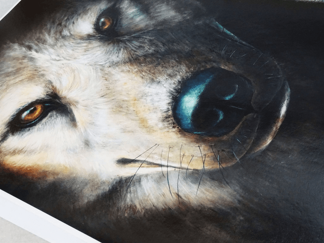 Tirage Loup Instinct 