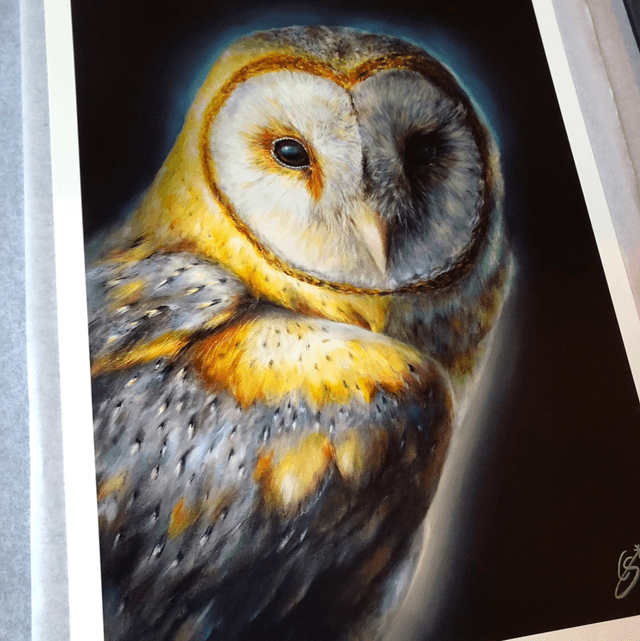 Tirage d’art Chouette 