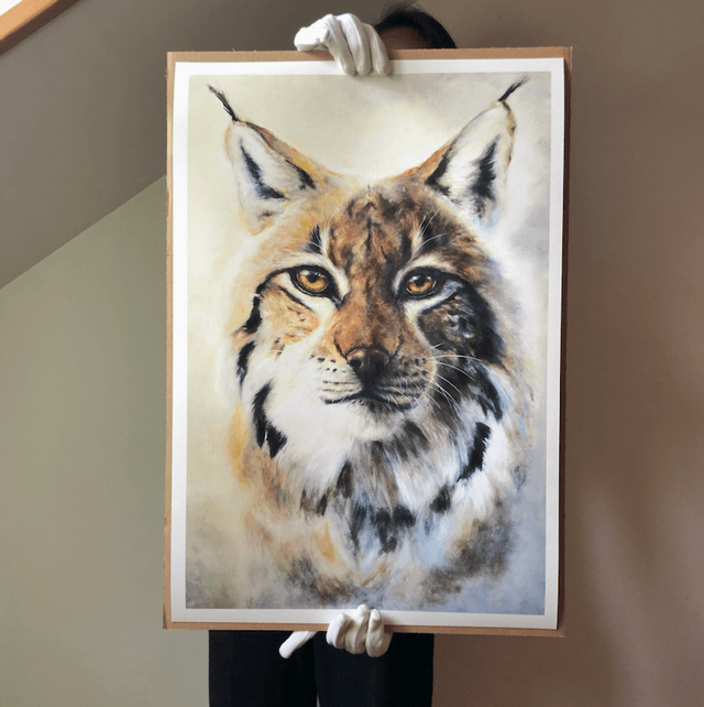 Tirage d’art Lynx 
