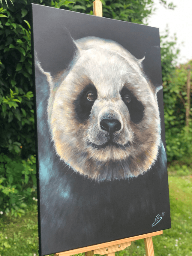 Giant Panda