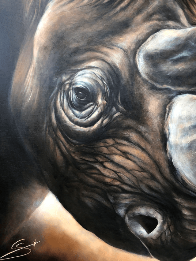 Rhinocéros noir