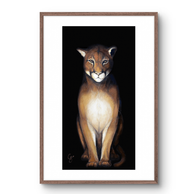 Tirage Puma Lueur