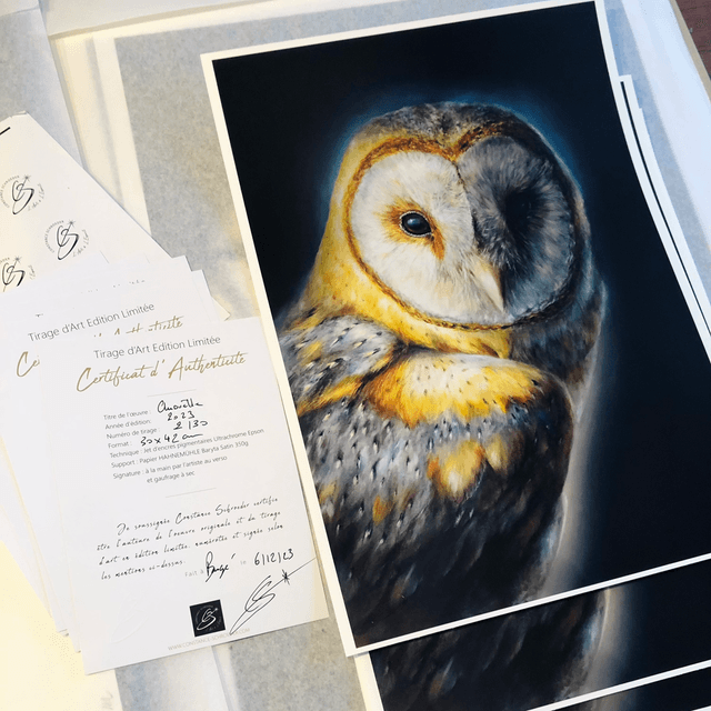 Tirage d’art Chouette 