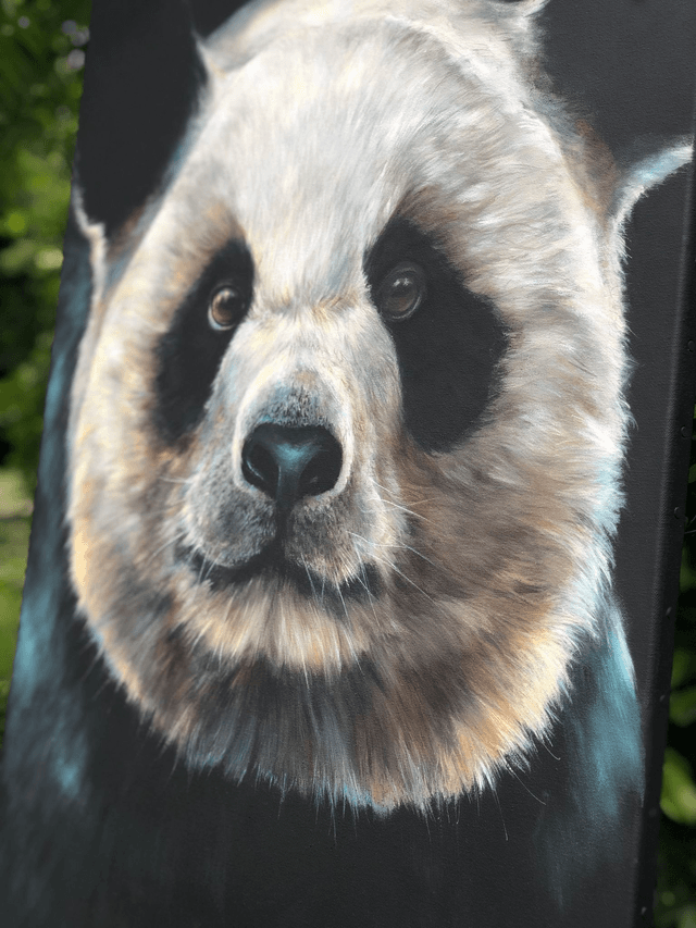 Giant Panda