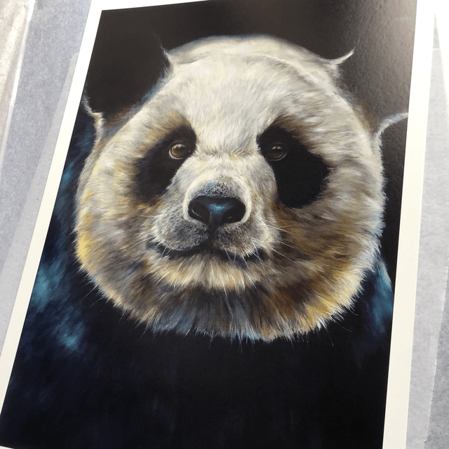 Tirage d’art Giant Panda