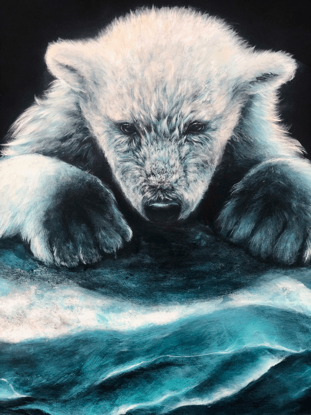 Ourson polaire "silence de glace"