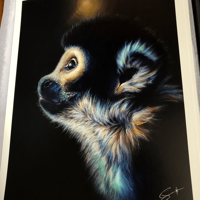 Tirage d’art Saimiri 30x40