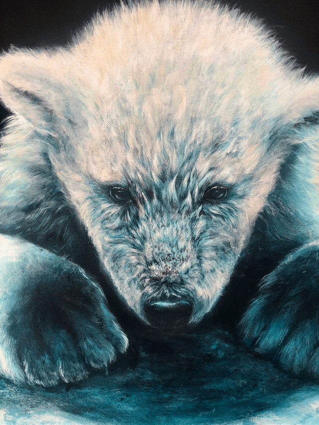 Ourson polaire "silence de glace"