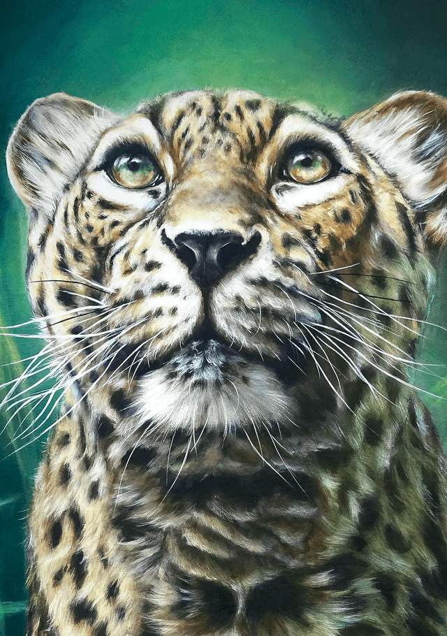 Leopard "le Guetteur d'Emeraude"