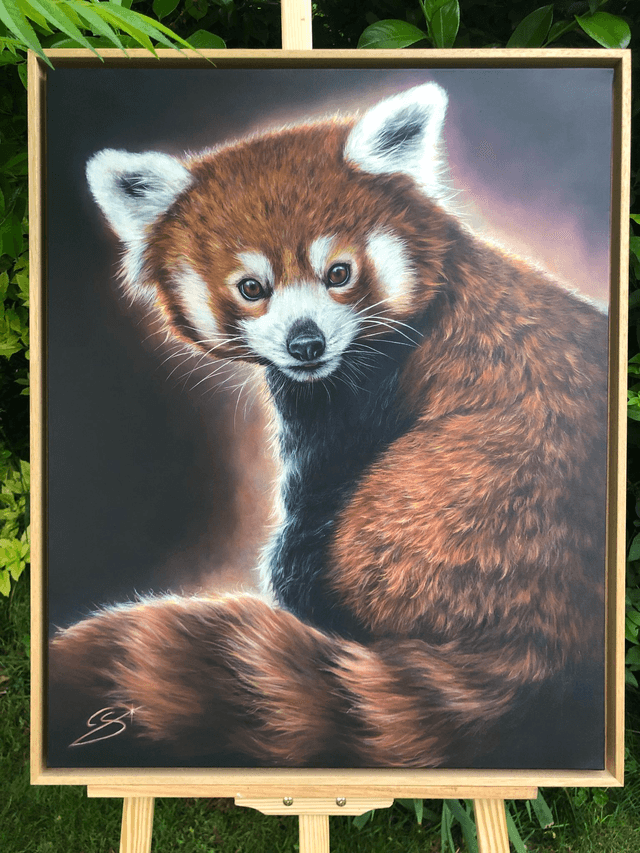 Panda Roux