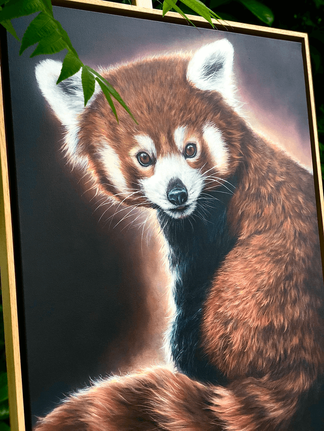 Panda Roux
