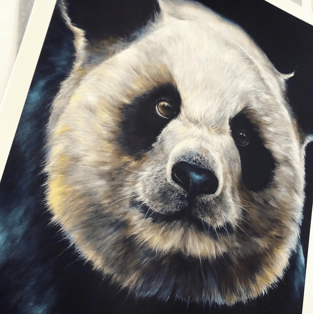 Tirage d’art Giant Panda