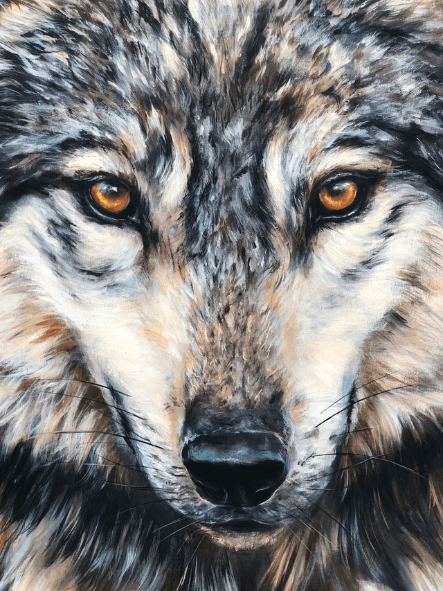 Loup Pejuta Shunkmanitu Tanka 