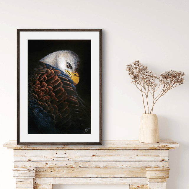 Tirage Eagle pygargue 