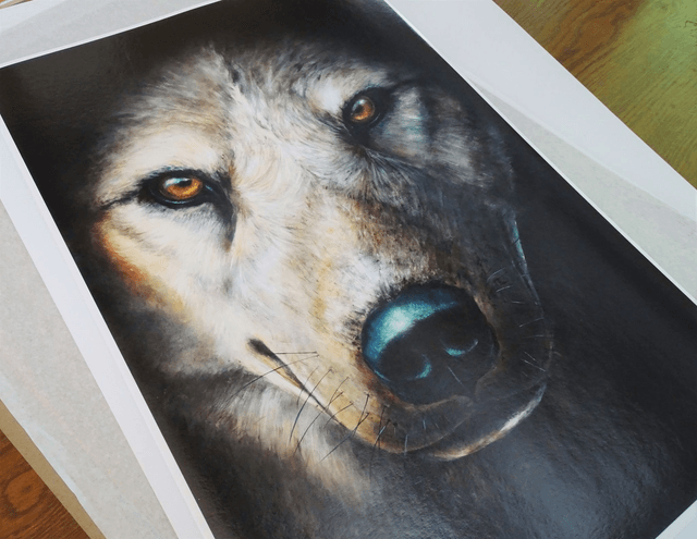 Tirage Loup Instinct 