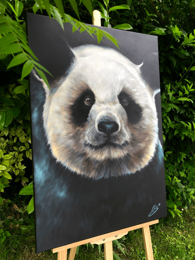 Giant Panda