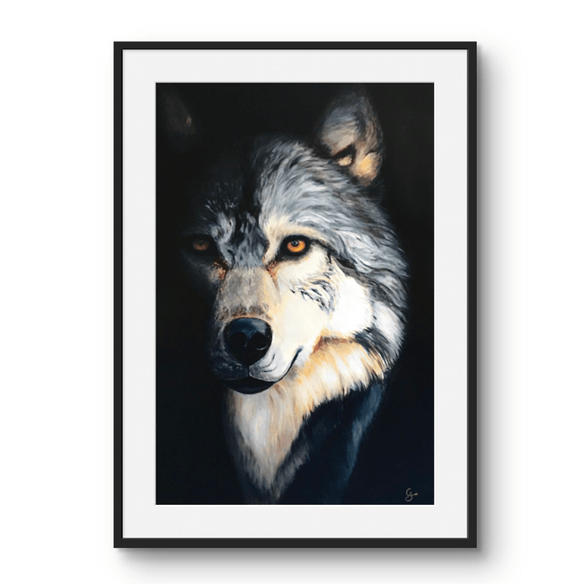 Takaya le loup solitaire
