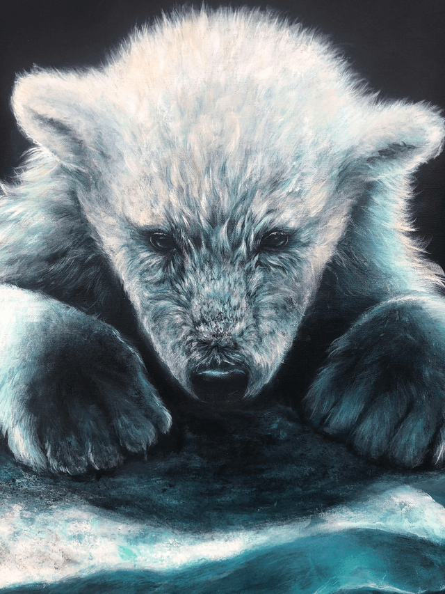 Ourson polaire "silence de glace"