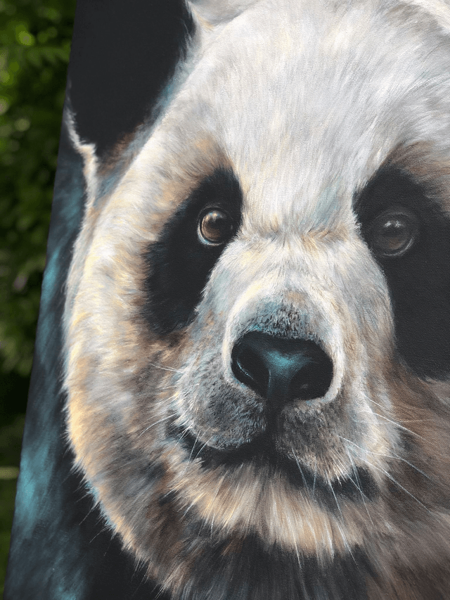 Giant Panda
