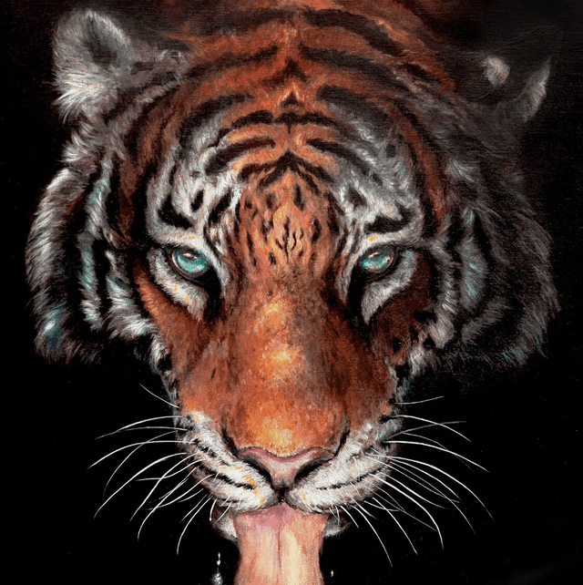 Tirage d’art Tigre La source 