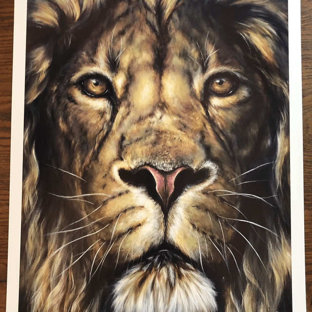 Tirage d’art Lion « horizon »