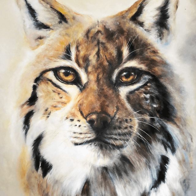 Tirage d’art Lynx 