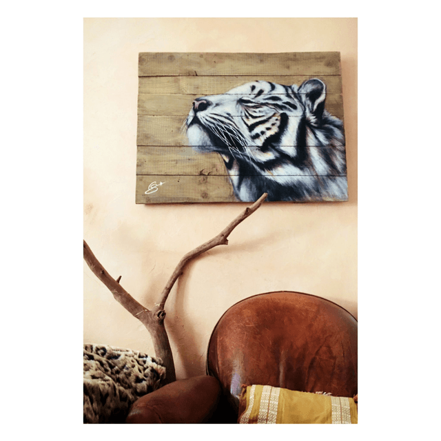 Tigre Carpe Diem 
