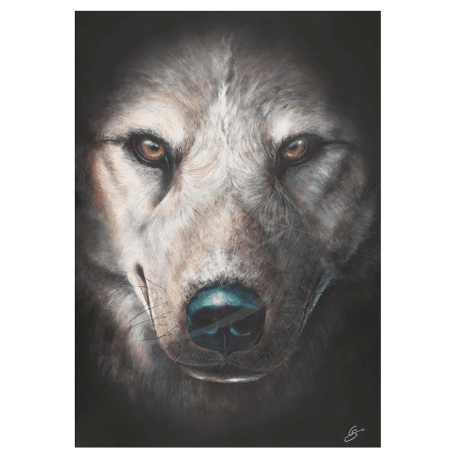 Loup Instinct