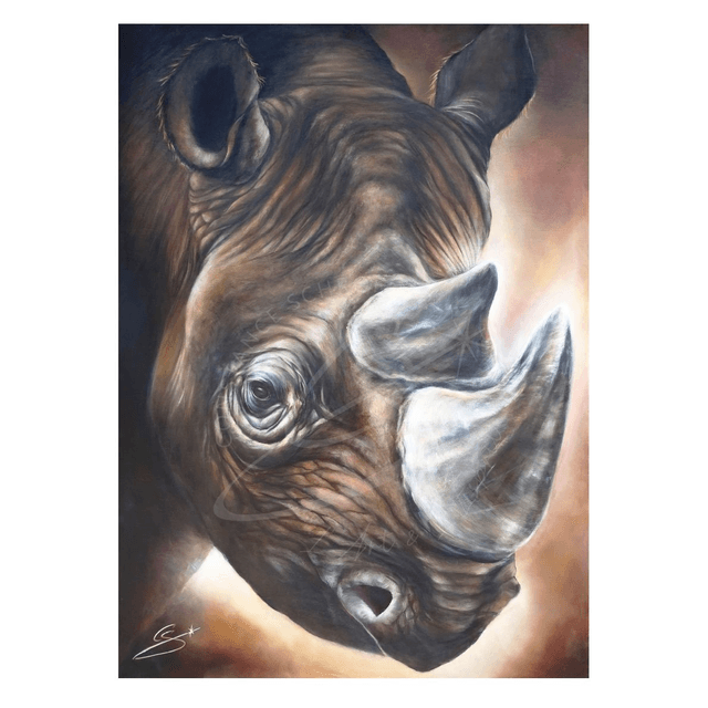 Rhinocéros noir
