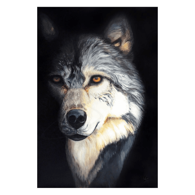 Takaya le loup solitaire