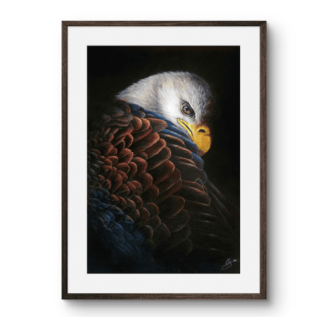 Tirage Eagle pygargue 