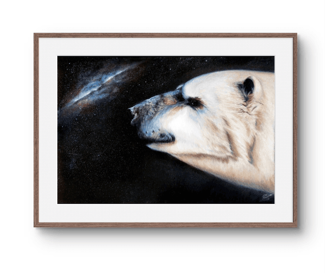 Tirage Nanuq
