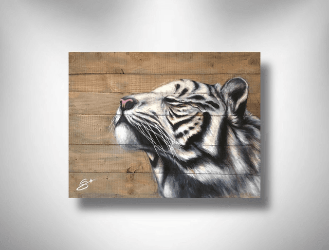 Tigre Carpe Diem 