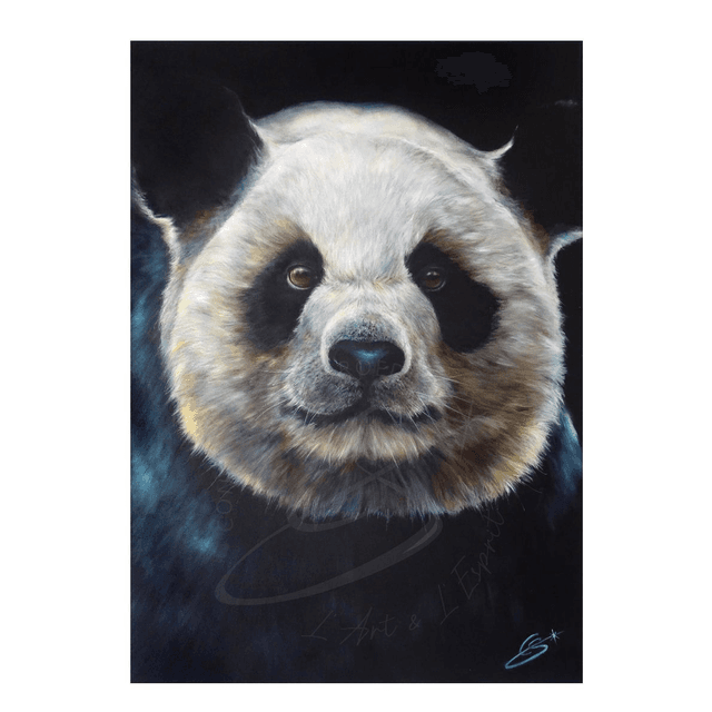 Giant Panda